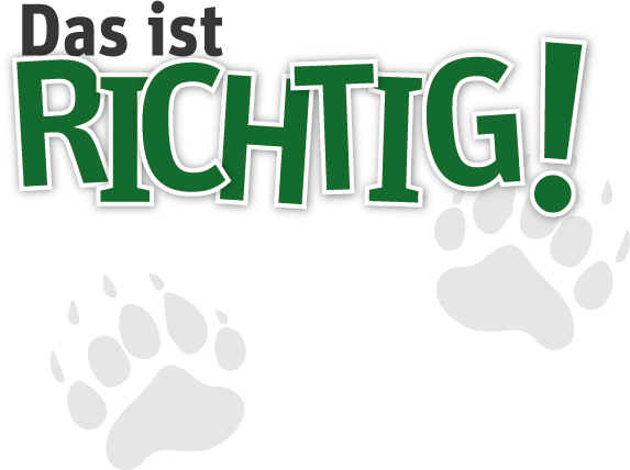 richtig.png