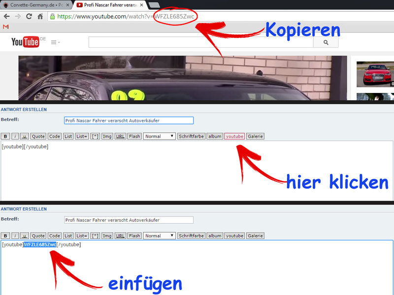 youtube einfügen.jpg