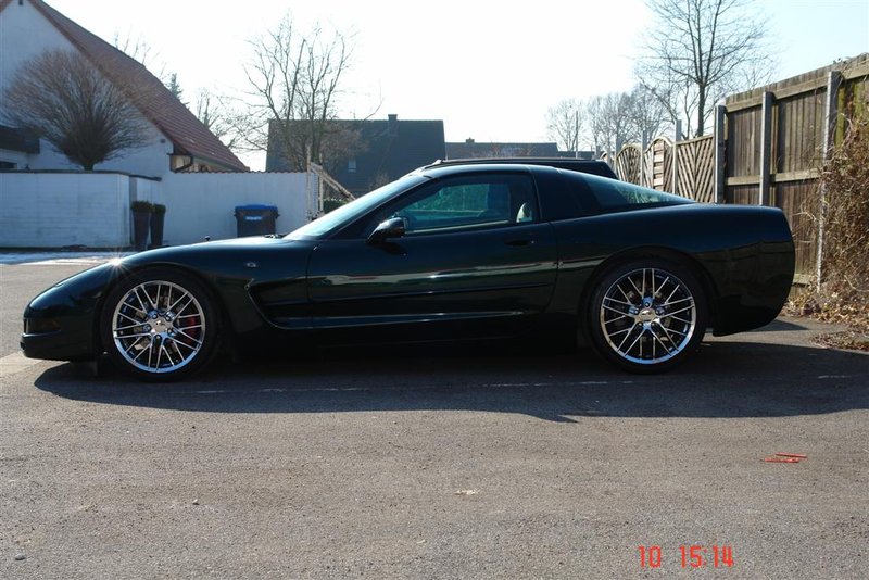 DSC02718 (Large).JPG