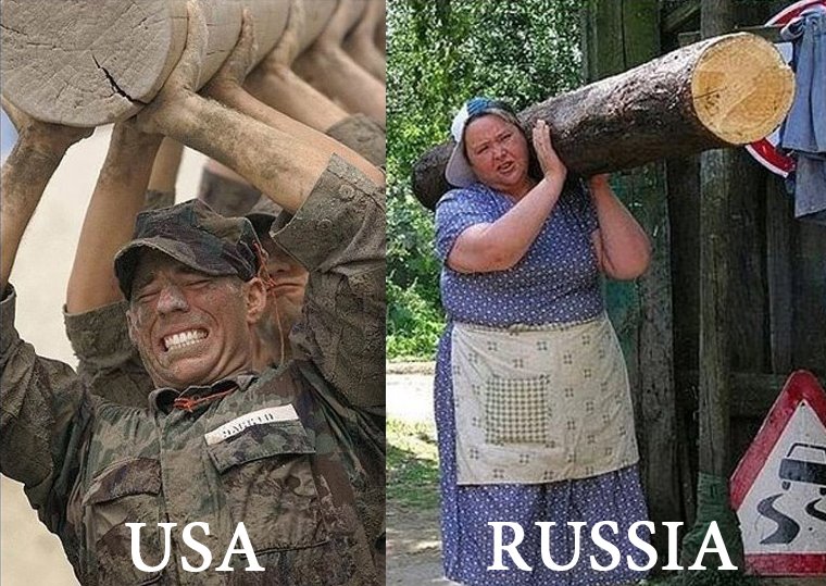 USA.Russland.unterschied.baumstamm.jpg