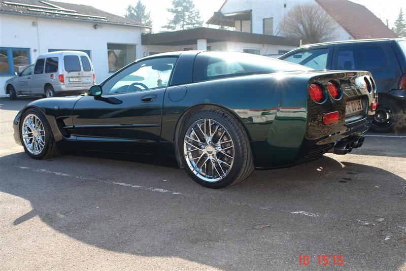 DSC02719 (Large).JPG